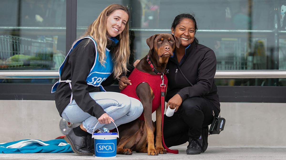 SPCA calls for animal lovers to collect for Annual Street Appeal