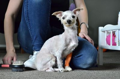 Love and light: Louie