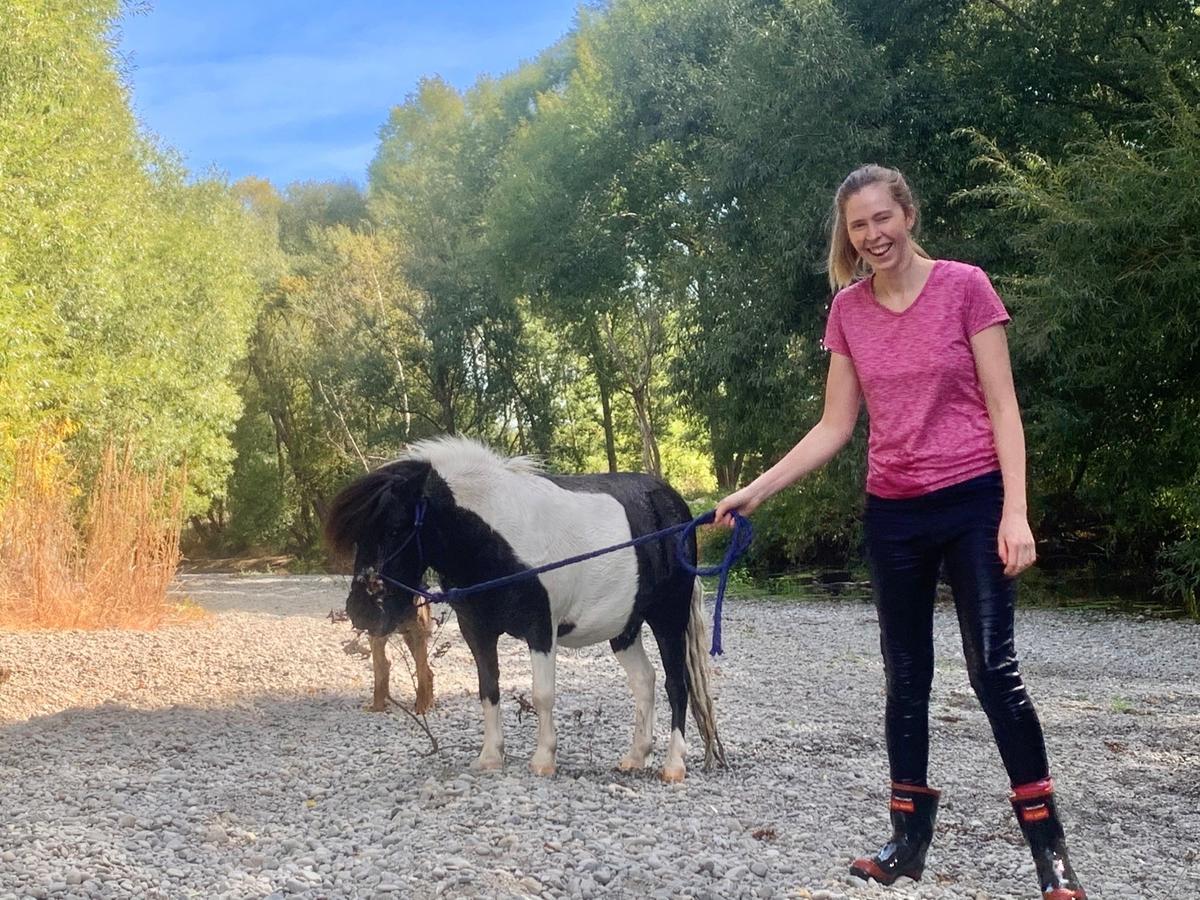 From rescued to rehomed - Badger's weight-loss journey