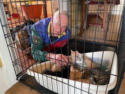Our SPCA People: Meet volunteer Graham