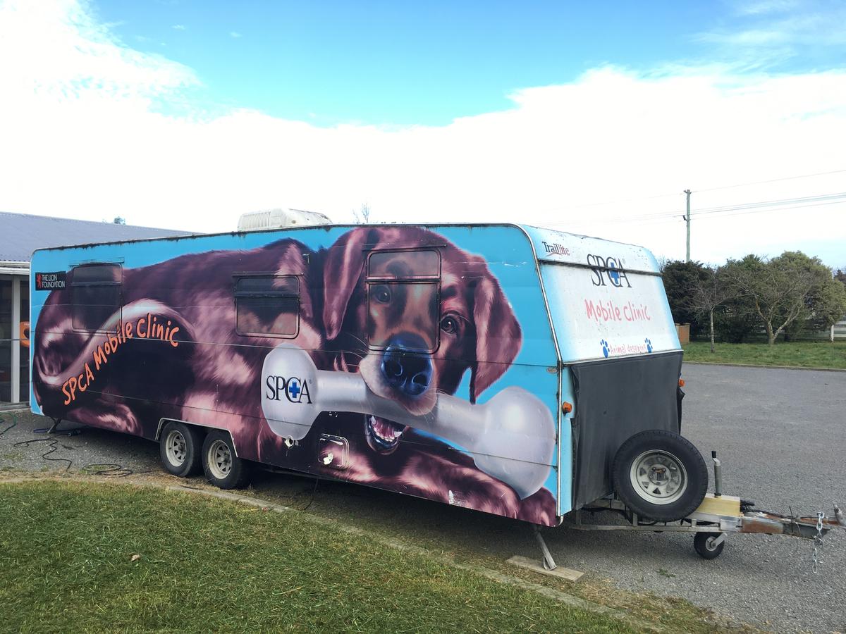 A 500km journey: SPCA brings free desexing to East Coast communities