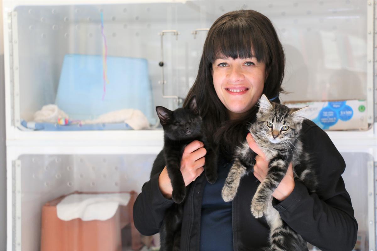 From rescued to rehomed: Fern and Frank's story