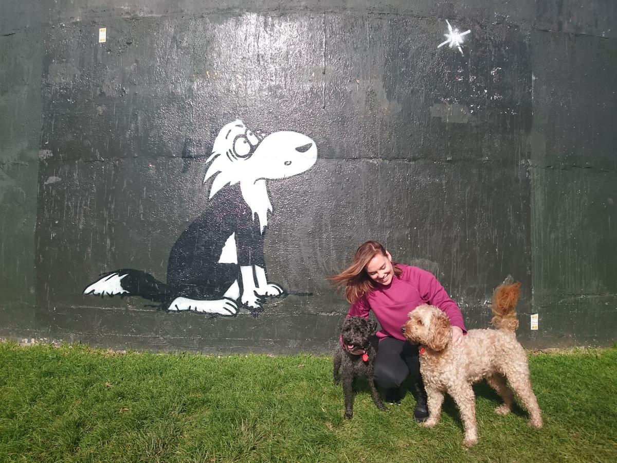 The best dog-friendly parks across New Zealand