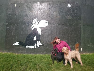 The best dog-friendly parks across New Zealand