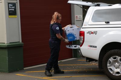 SPCA successfully prosecutes woman a second time for breaching animal ban