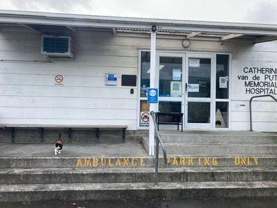 Meet some of SPCA’s special residents