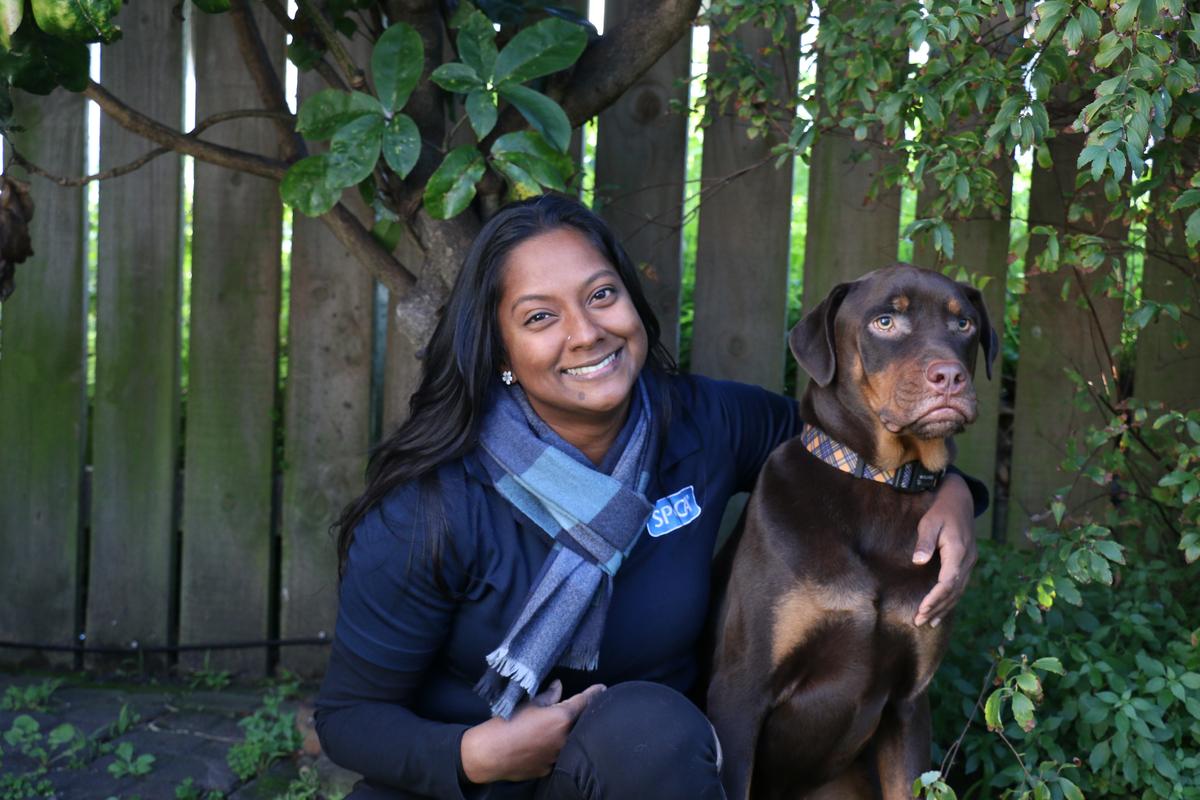 Meet SPCA Wellington Centre's Archie!