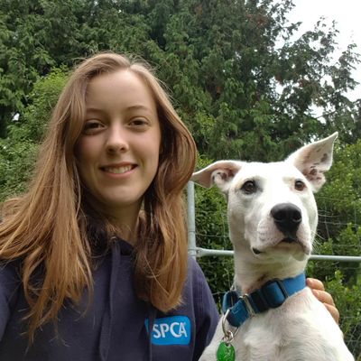 Meet SPCA Dunedin Centre's Gemma!