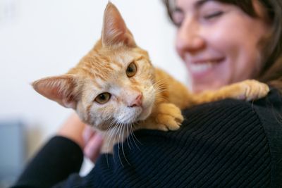 Celebrating International Cat Day: 10 felines who defied the odds! 