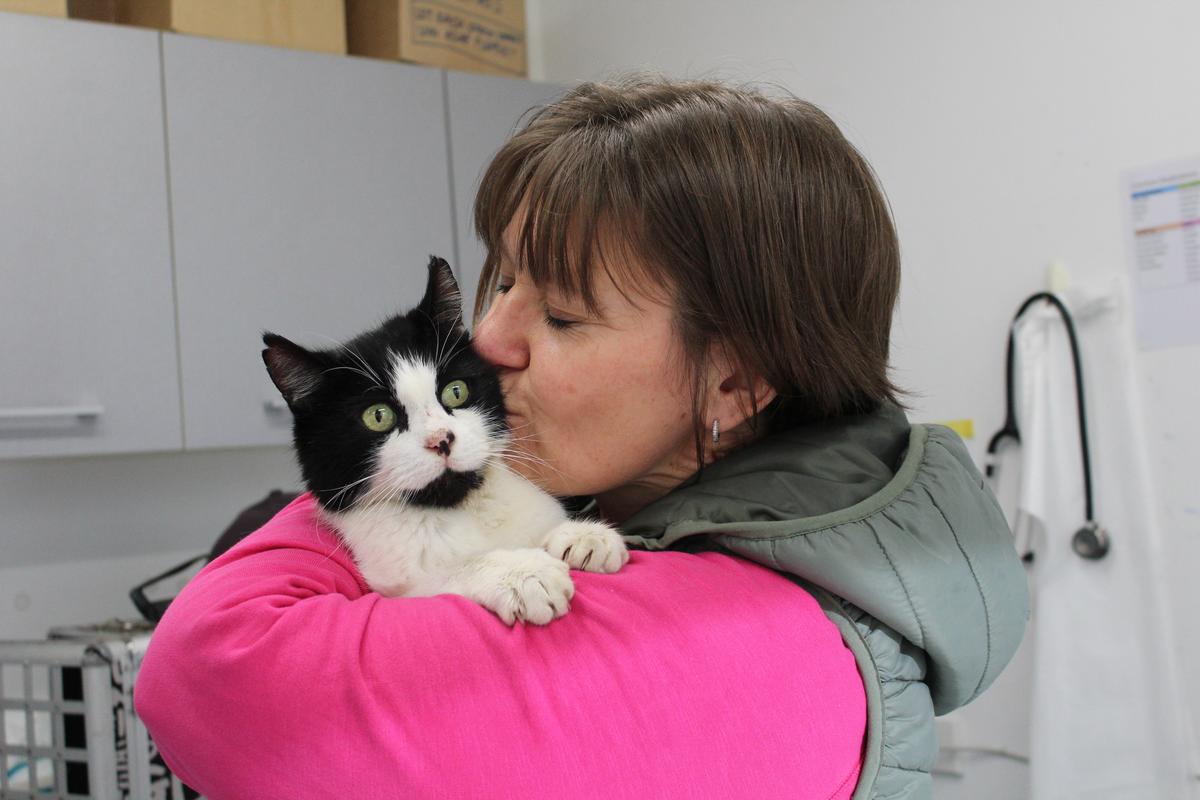 Patches' story: all because of a microchip