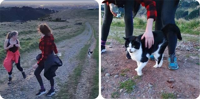 Patches staying close to the SPCA team on their walk