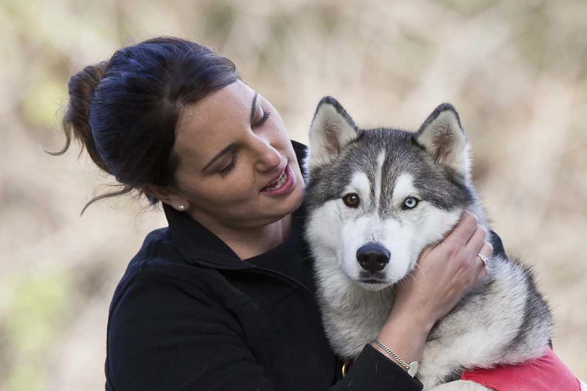 Dogs reporting for duty!