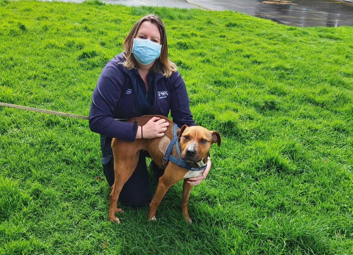 Misty’s lifesaving lockdown story