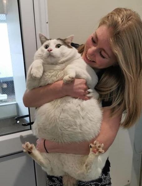 Blue on the day he arrived at SPCA Christchurch