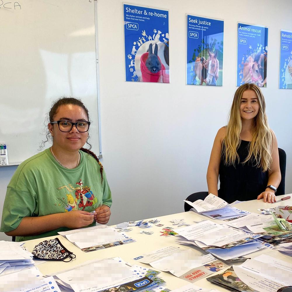 Meet SPCA’s Supporter Care team