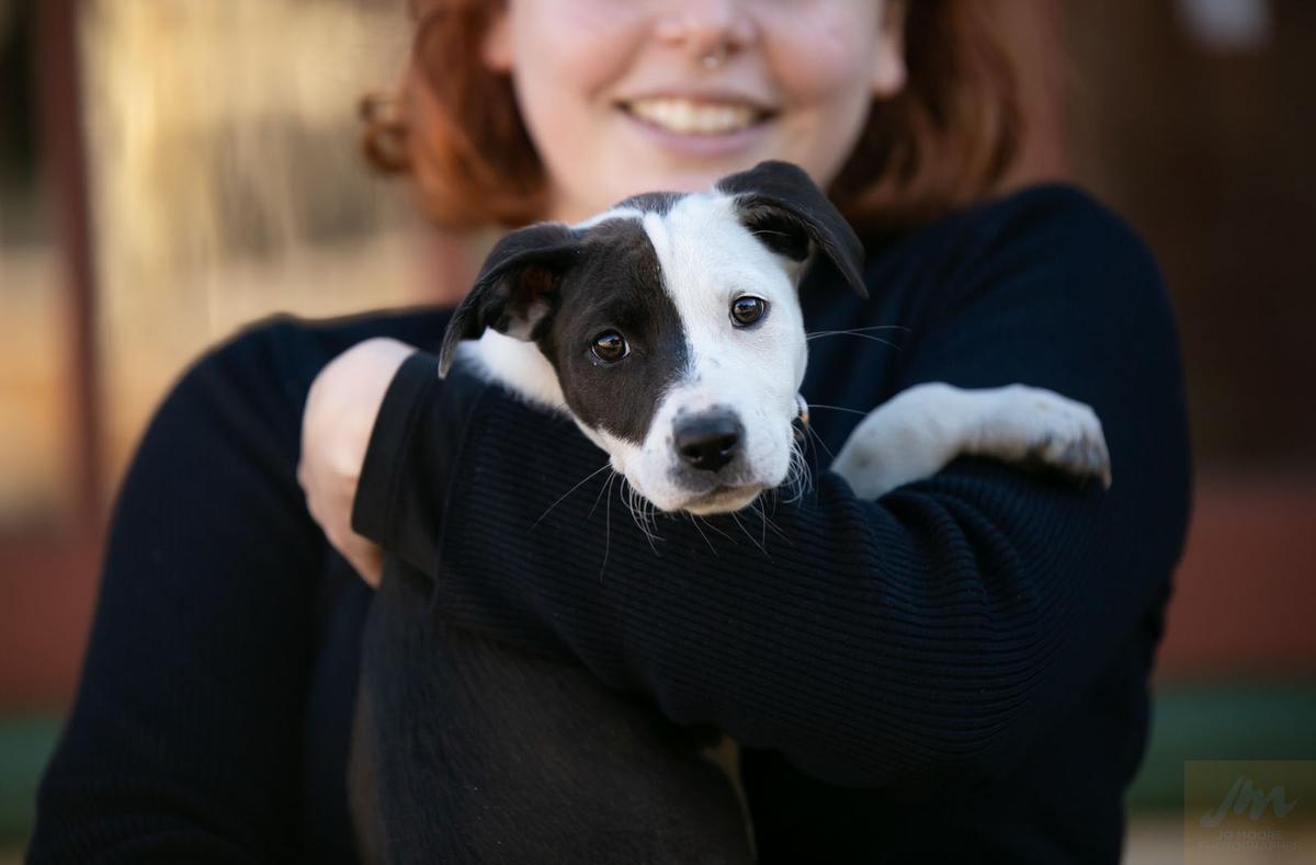 How you helped animals in 2021