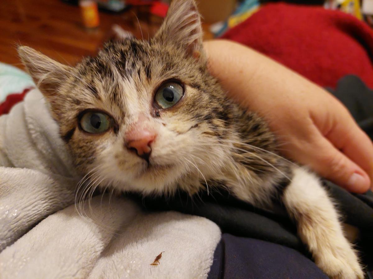 Jelly in foster care