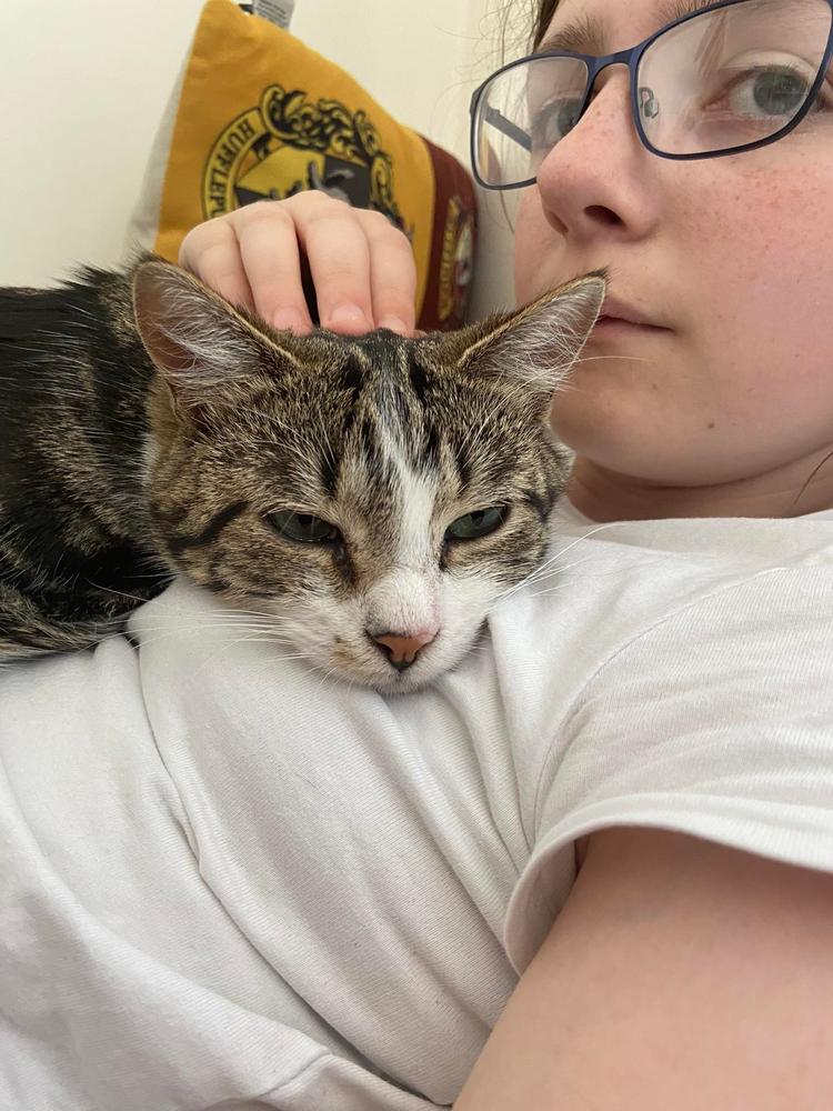 Jelly in her forever home 