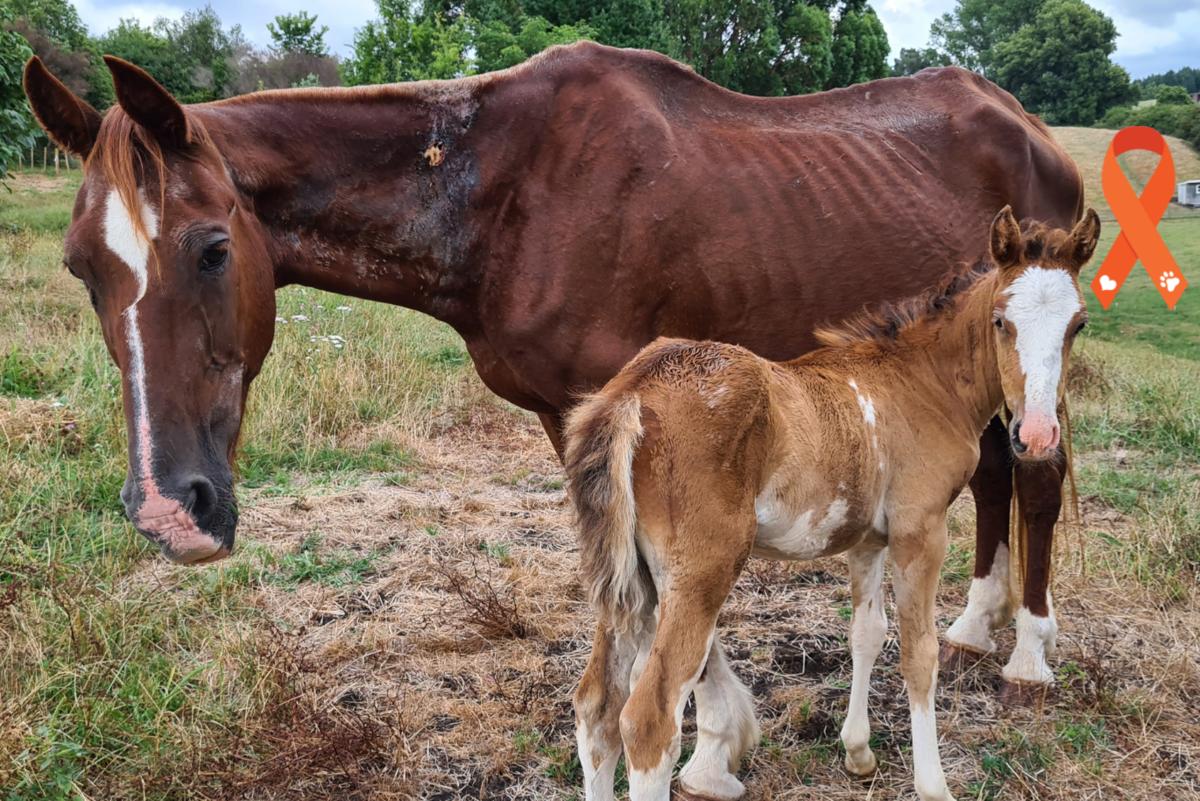 Marvel's story: back from the brink of death