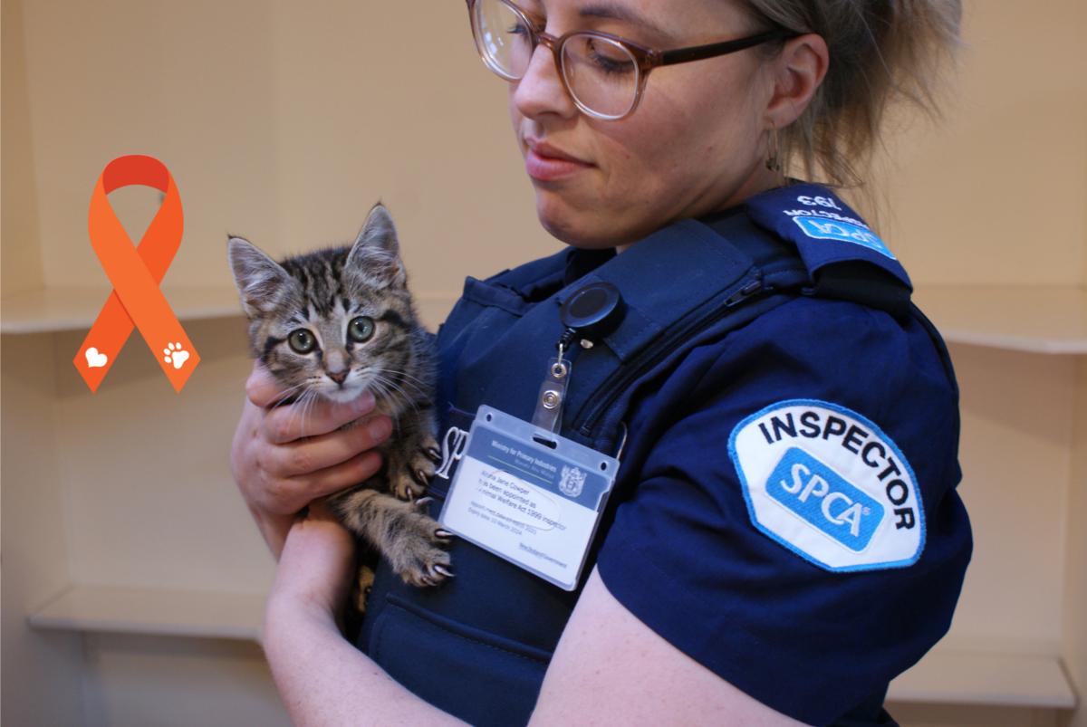 Prevention of Cruelty to Animals: shining a light on SPCA’s fight against animal cruelty 