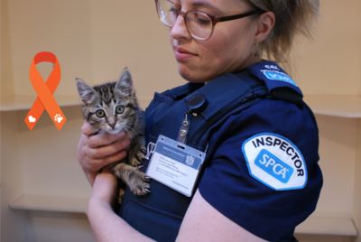 Prevention of Cruelty to Animals: shining a light on SPCA’s fight against animal cruelty 