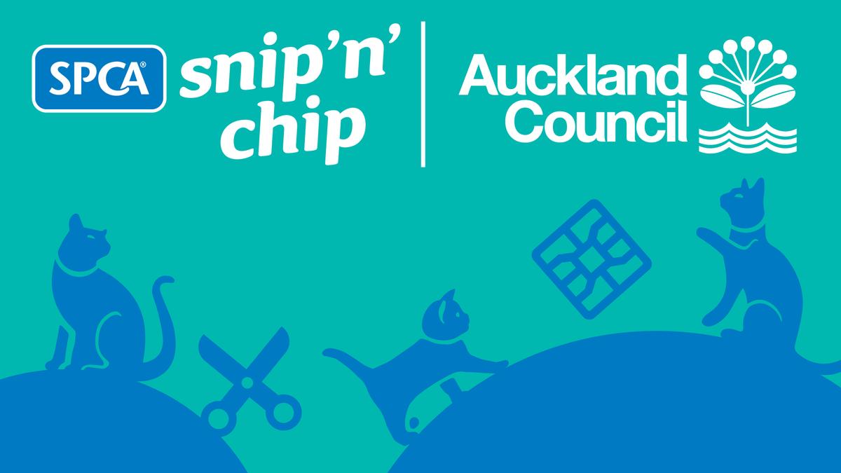 Cat desexing and microchipping campaign launches in eco-sensitive areas of Auckland