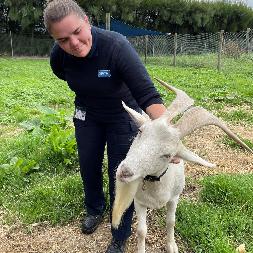 Inspector Pip with a happy, healthy Elvis today