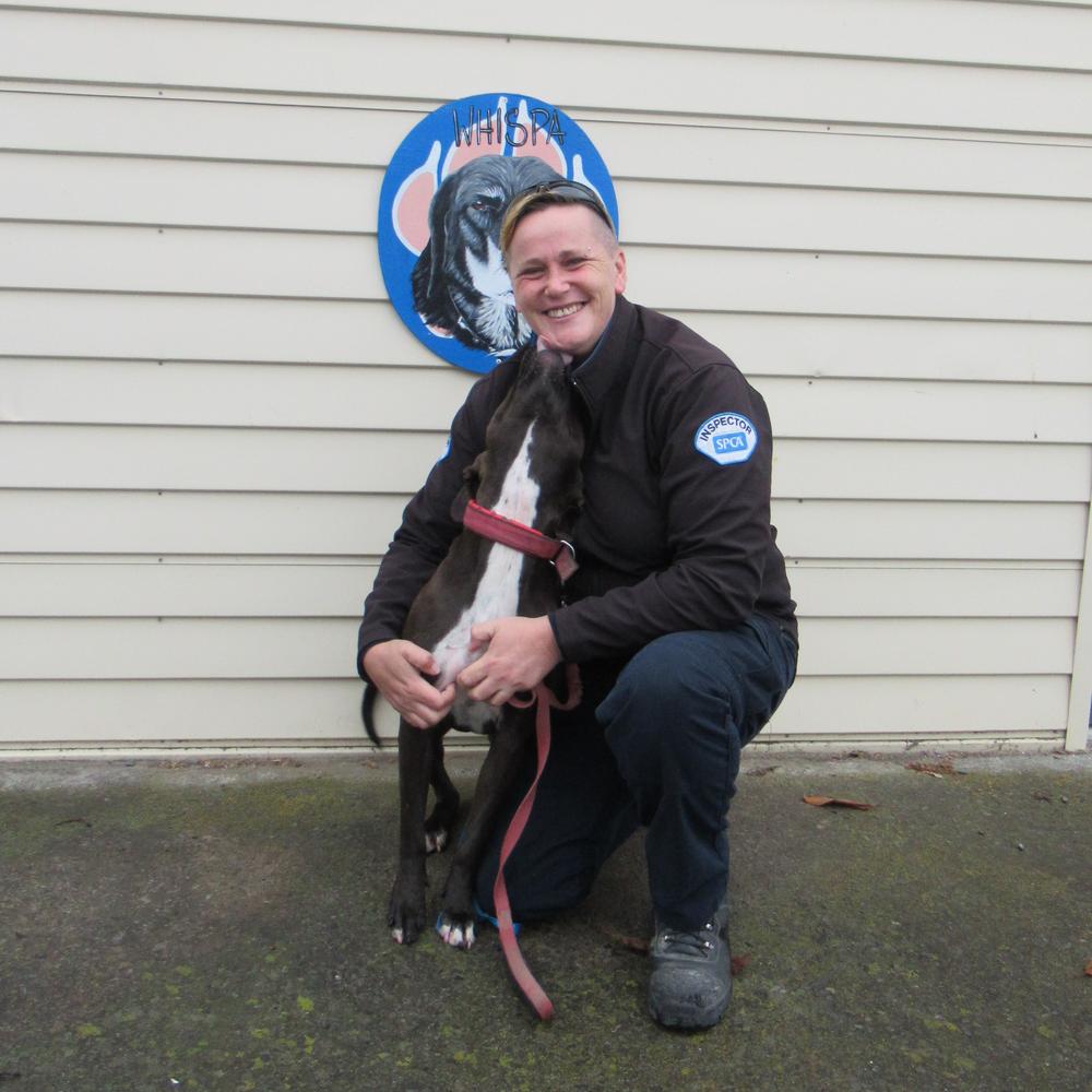 Sheer, currently available for adoption, showing Inspector Renee some love