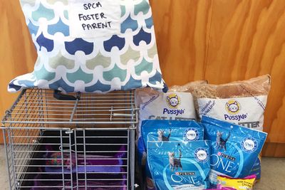 Foster & Volunteer Office Support