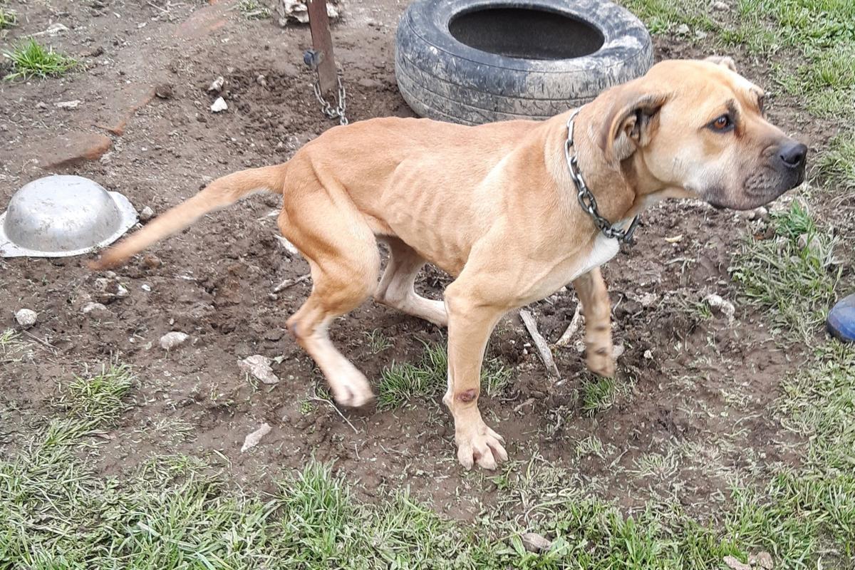 Lexi when Inspector Shanaea first met her