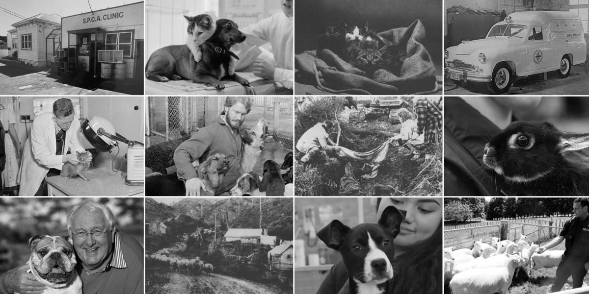 150 years of caring for and protecting animals 