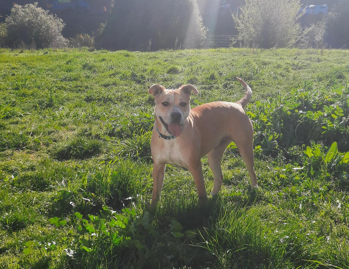 Queen in her happy forever home