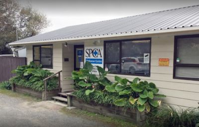 SPCA announces permanent closure of Waikanae Centre 