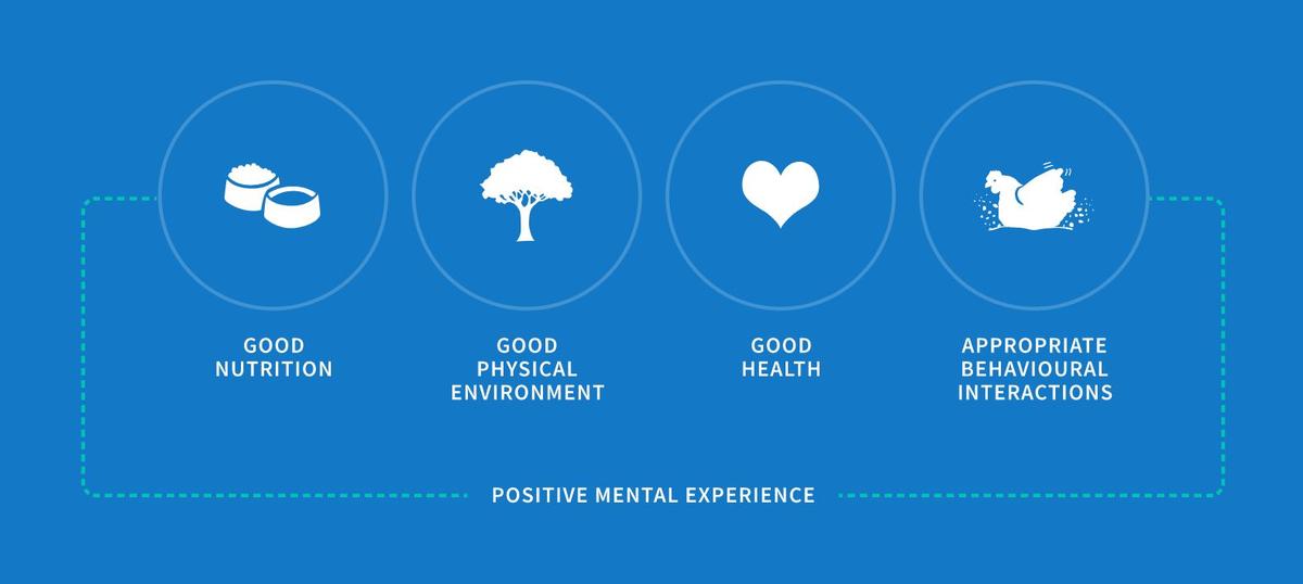 The Five Domains Model
