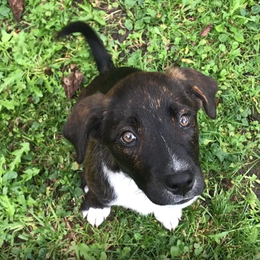 You gave to get them home - thank you New Zealand!