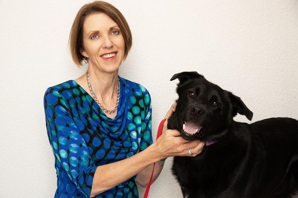 SPCA - How we fund a better future for the animals