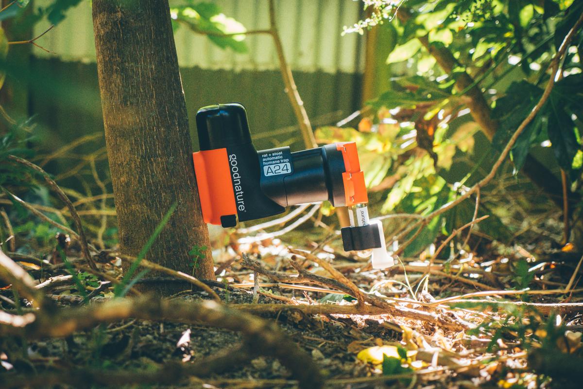 An example of a human e pest control trap -  A24 gas-powered rat and stoat trap