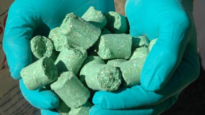 The green baits contain the 1080 toxin