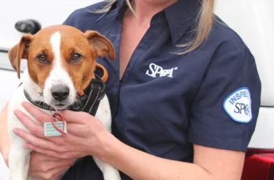 What it'll take to the break the chain and stop life chaining