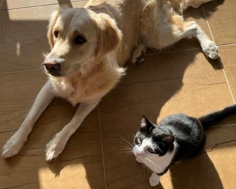 Axel and rescue dog Ranger