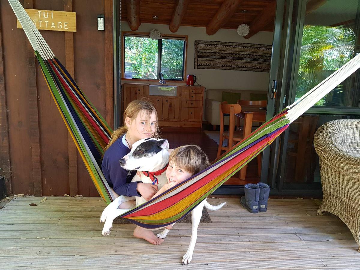 Summer fun on holiday with your four-legged friends