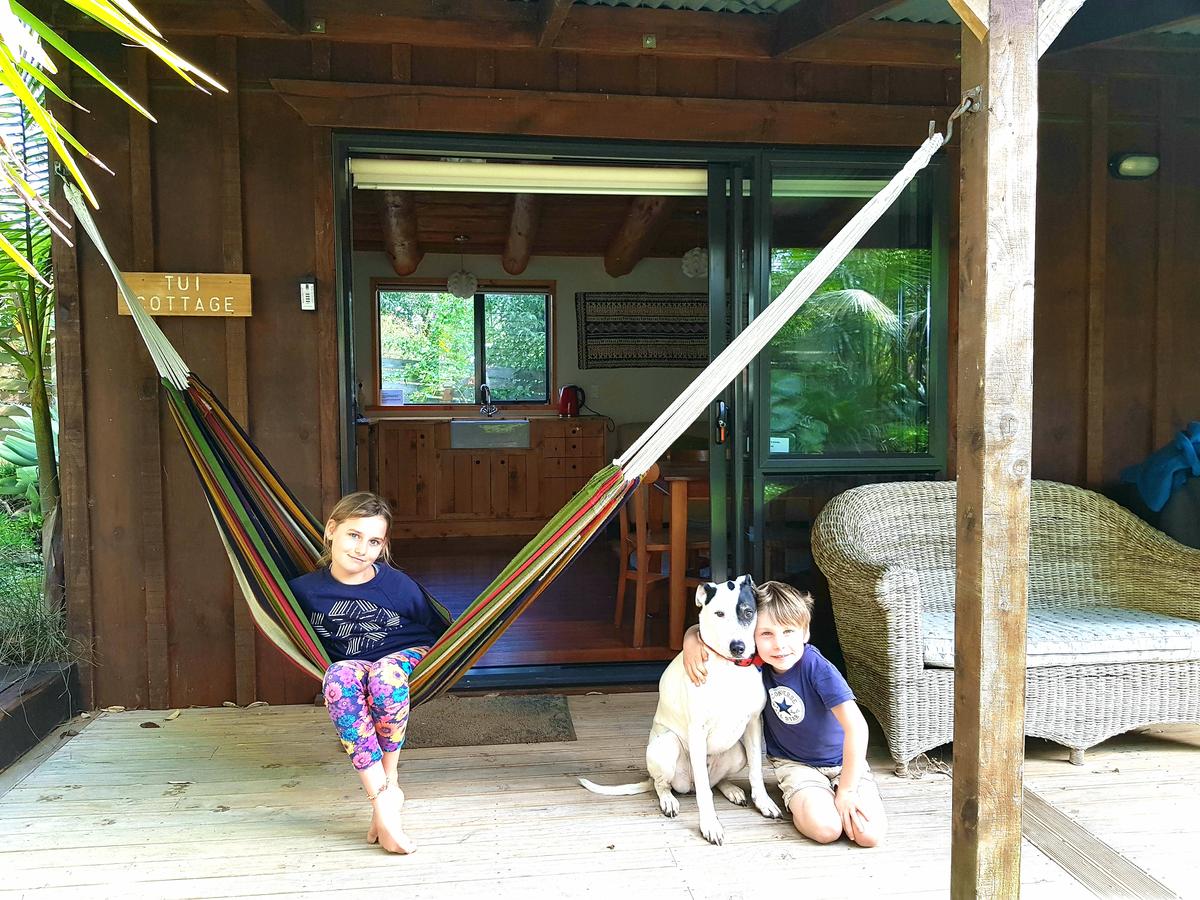 Adam's Accommodation on Waiheke Island is very pet-friendly. With cottages on a 10-acre farm, and a resident ex-SPCA dog.