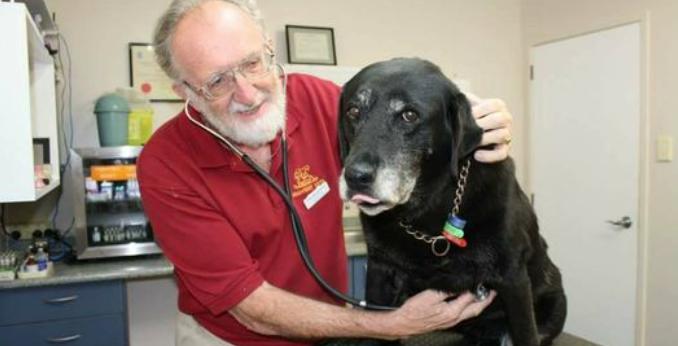 SPCA funds new desexing initiative in North Hokianga