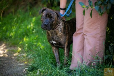 The chain will be broken – but when? 