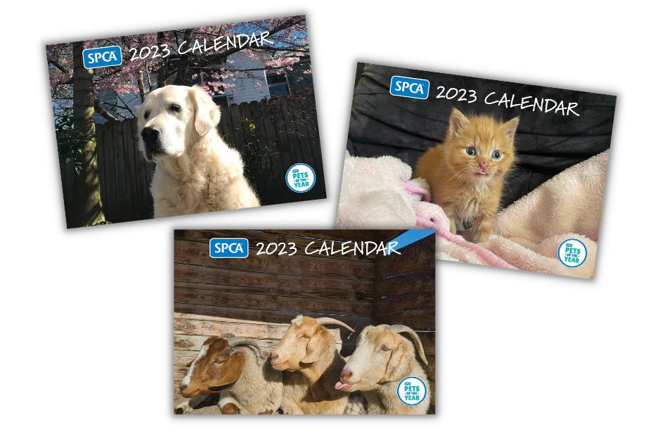 Introducing our SPCA Pets of the Year!  