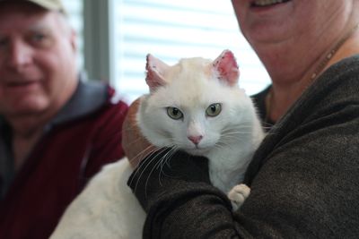 Fantastic foster families - saving lives across New Zealand