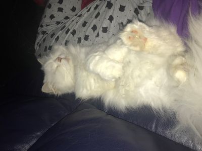 Success Story: Willoughby