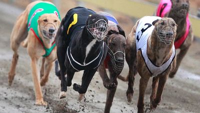Greyhound racing - a survey of New Zealand opinion