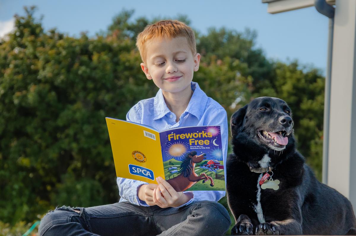 SPCA storybook ‘Fireworks Free’ a timely lesson