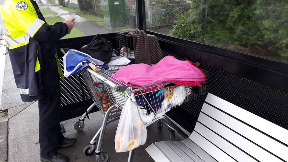 SPCA prosecutes Auckland woman for keeping her cat permanently in a cage